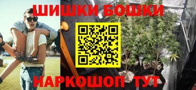стаф Будённовск