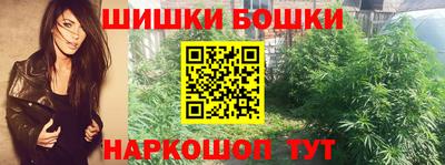 стаф Будённовск