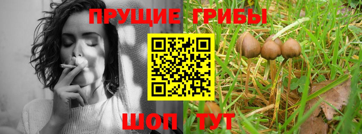 Псилоцибиновые грибы GOLDEN TEACHER  Вход с VPN  где найти   Знаменск 